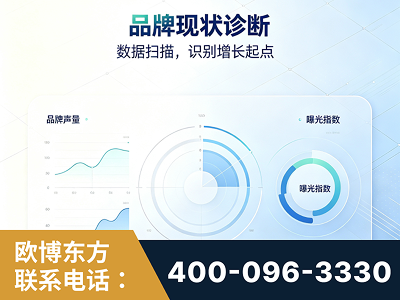 驻马店-品牌现状诊断